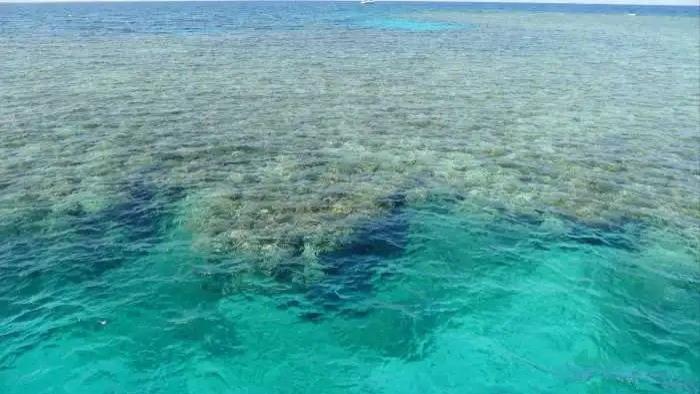 一键淡化海水，不仅便捷而且便宜