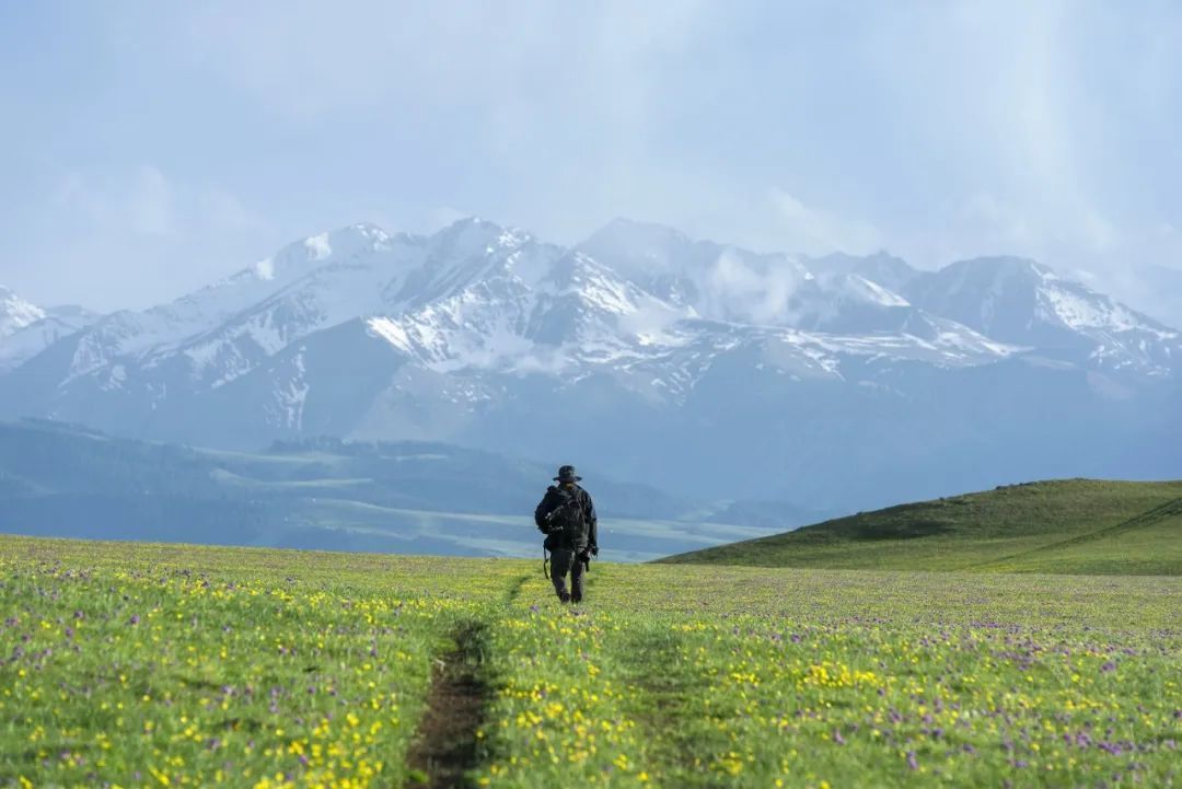 香港|草原季即将开启,如何选择最适合你的草原?