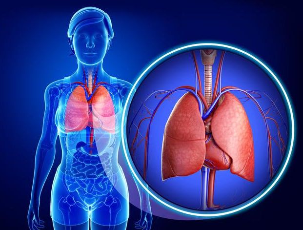 |经常散步,对肺部是好还是坏?肺部最喜欢做的3件事,平时要常做