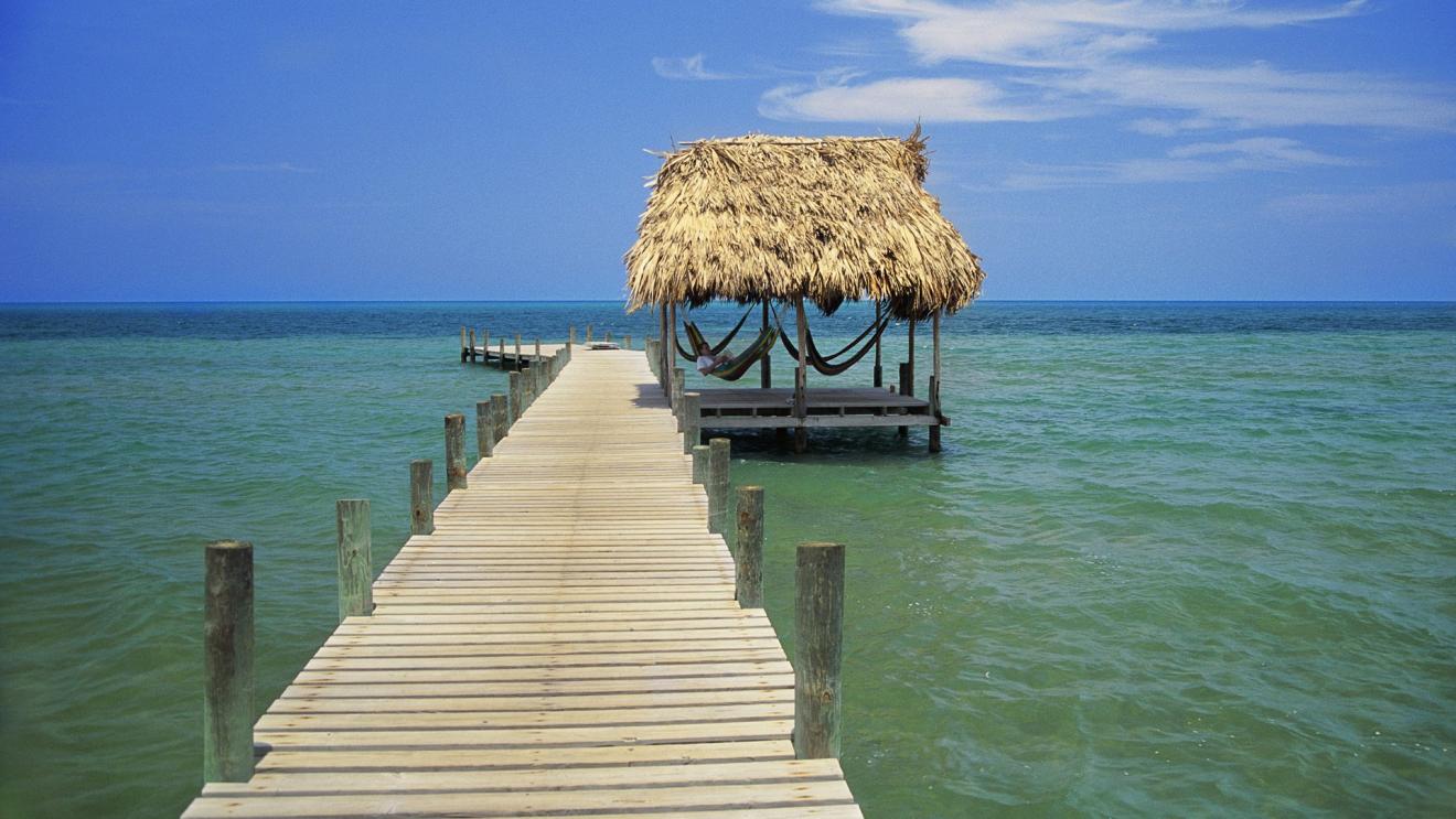 连衣裙|8月桃花花开，收入翻倍，身价暴增，吉人天相，事业运极旺的三大生肖