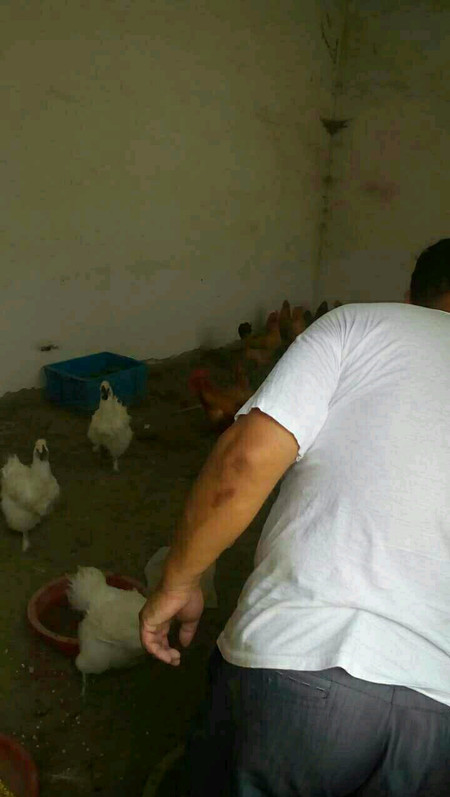 男朋友说他家住大别墅，院里还有大泳池，去了才知道是这样！