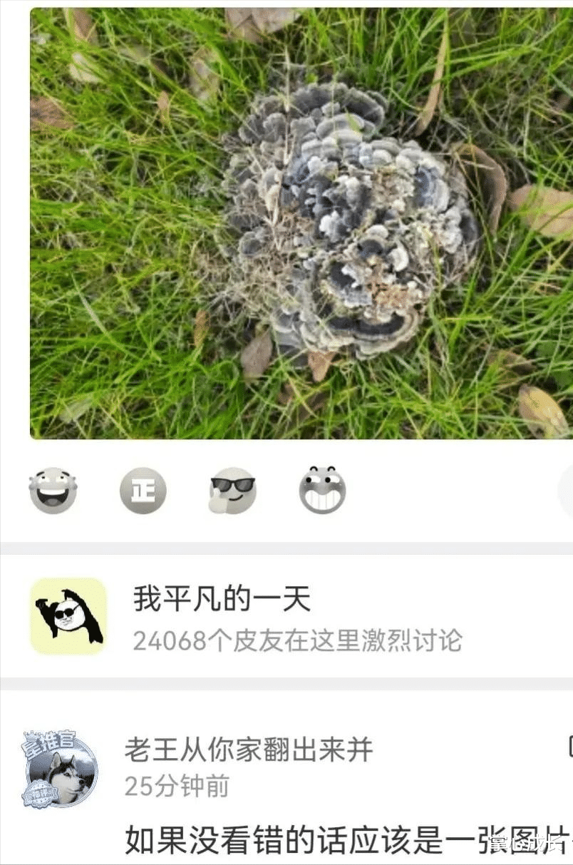 书法|“去领导办公室，看不懂的书法不要乱读，更不能笑！除非忍不住...”