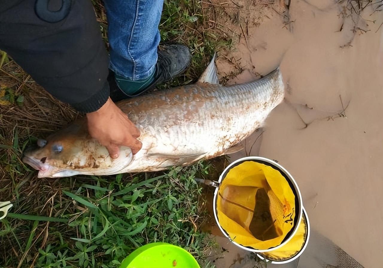 |钓鱼人有5个相似之处，你知道几个？