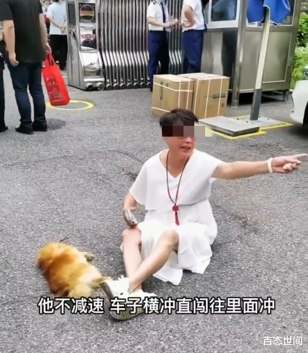 武汉女子遛狗不拴绳,狗被轧死后坐地痛哭,要对方赔狗还呼吁曝光