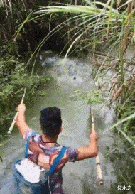 “全世界都知道金三角的危险性,为什么没人去剿灭?”网友神评有毒啊!