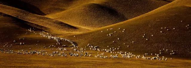 大山的视觉生活