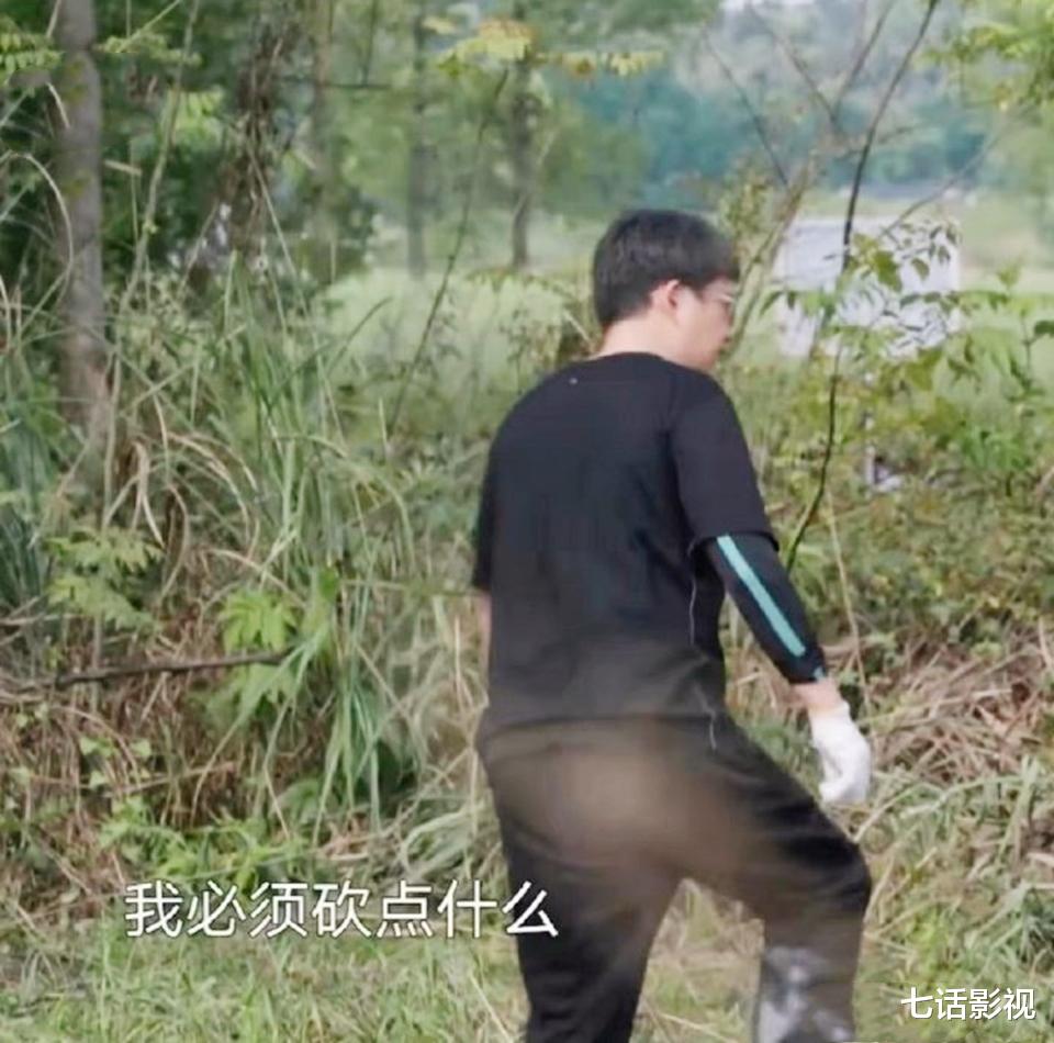 张子枫|全网破防!“国民妹妹”张子枫首次传绯闻,对象却是著名塌房爱豆