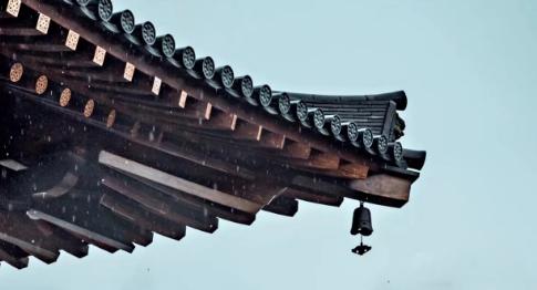上海市|上海这座寺庙“火了”，只因传统木构营造太美，游客纷纷来打卡