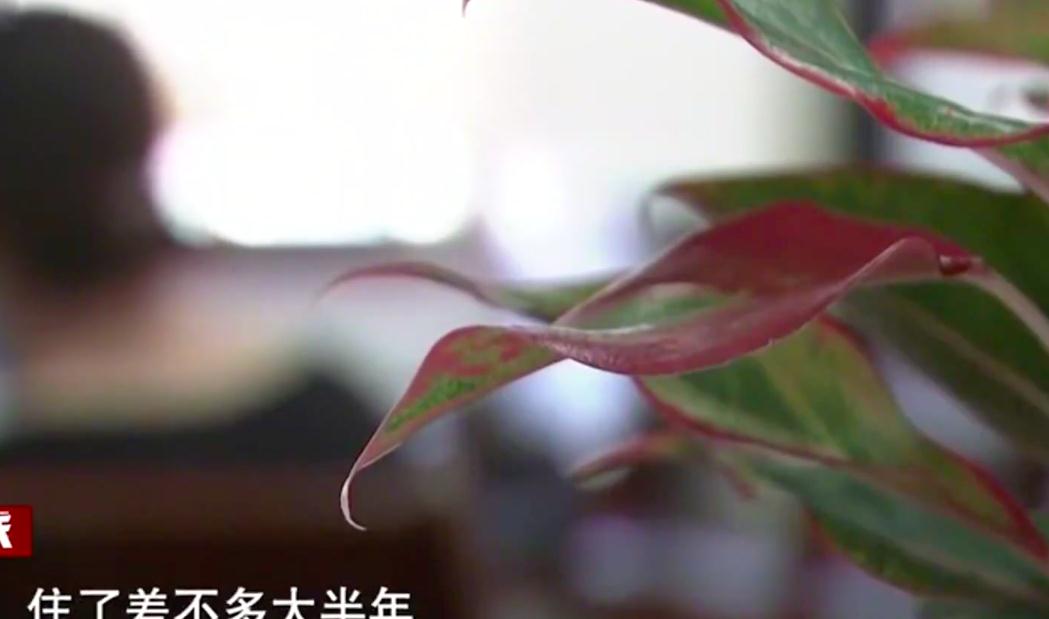 为当小三和丈夫离婚,女子被情夫杀,情夫:杀她18年她家人才报案