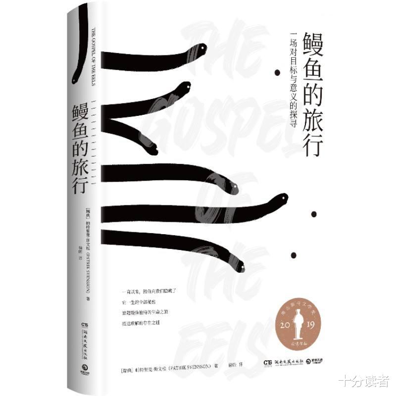探寻《鳗鱼的旅行》神秘又充满冒险