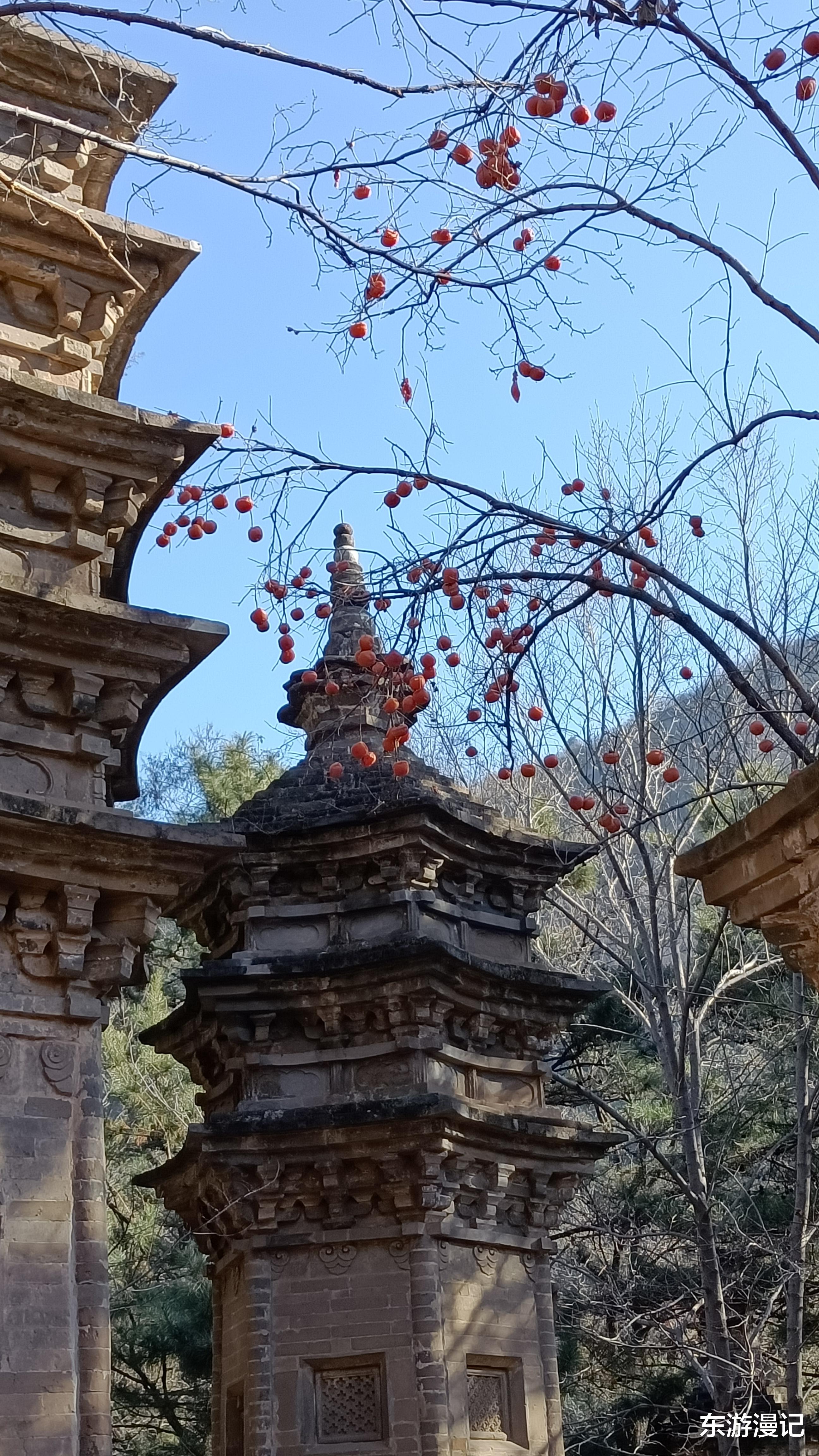 潭柘寺|从戒台寺到潭柘寺，意外发现深藏大山里的度假山庄