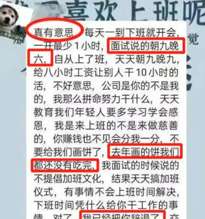 许多|还没看过00后低情商辞职信?理由一个比一个真性情,老板颜面扫地