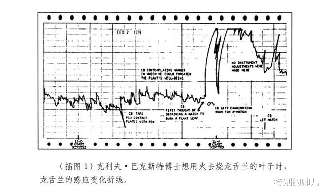 “意识”的本质究竟是什么?石头有“意识”吗?