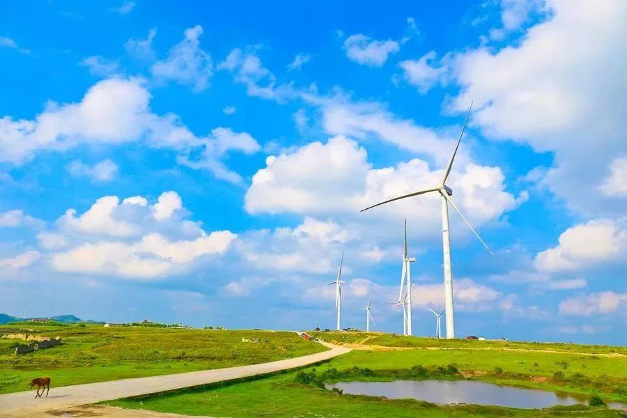 |7月的避暑天堂，8个避暑旅行地，个个美如仙境，你去过几个？