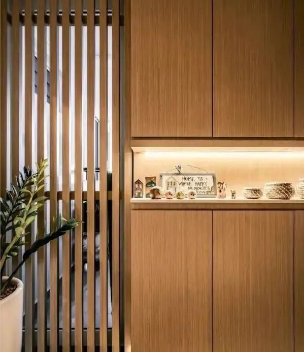 常见的5种入户隔断,组合样式各有不同,颜值收纳个个都没得说!