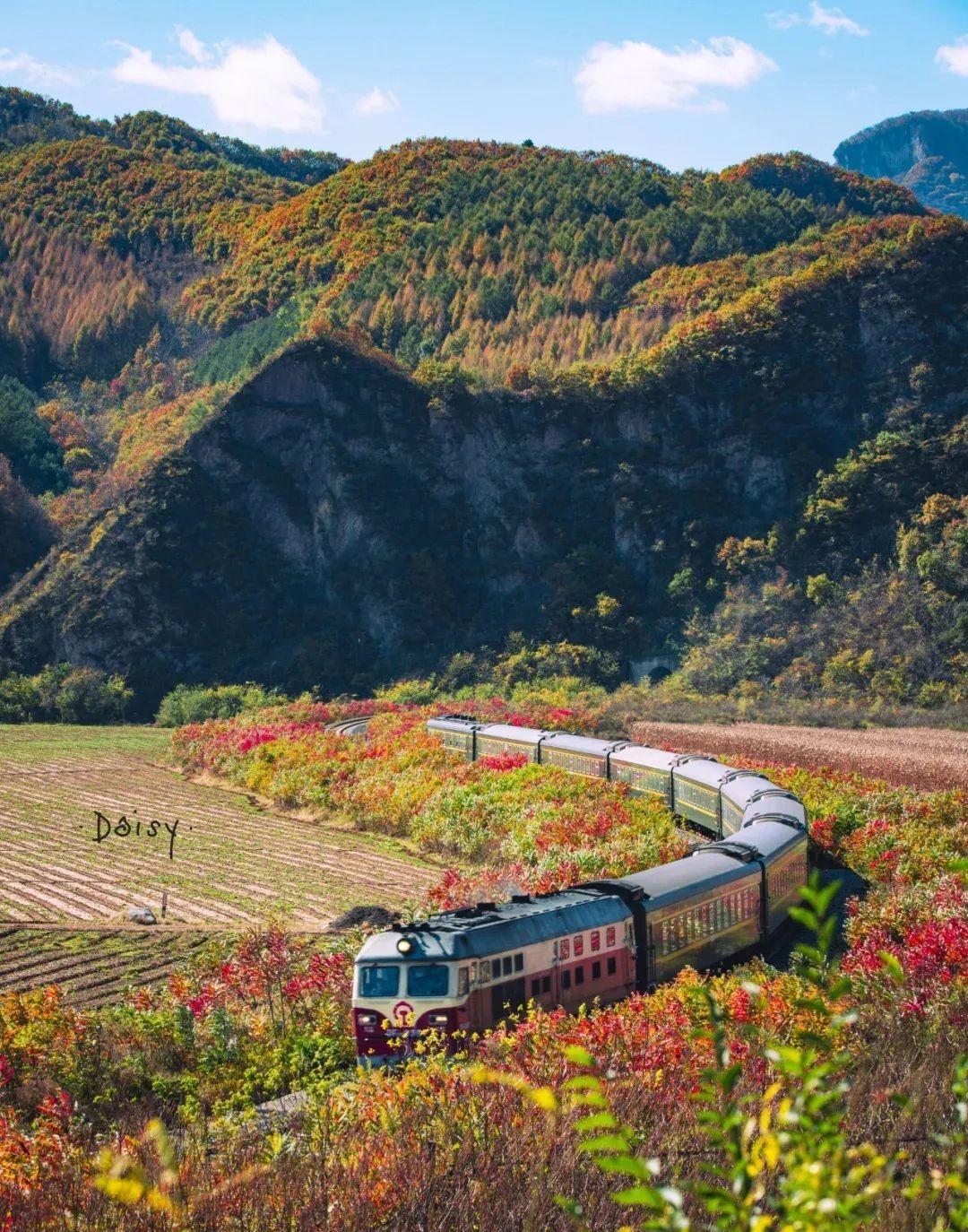 本溪|挖到秋色绝美东北小城,枫叶秒杀京都,还有复古火车和温泉
