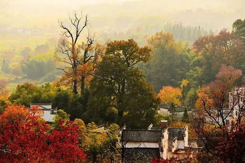 古镇|旅行 | 值得一去的7个古镇，秋天风景宜人，美如画卷！你最喜欢哪一个？