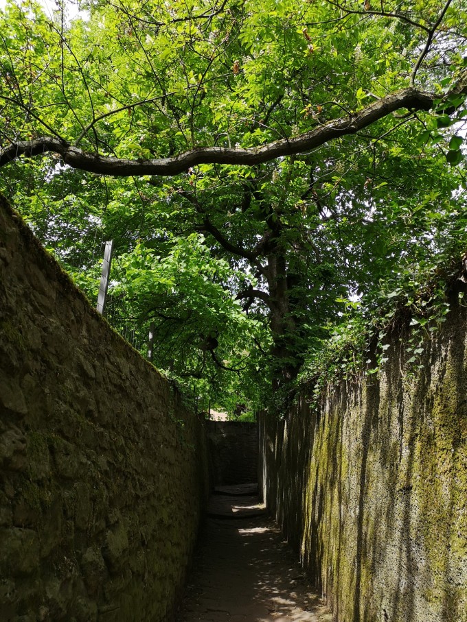 海德堡|我的德奥捷之行