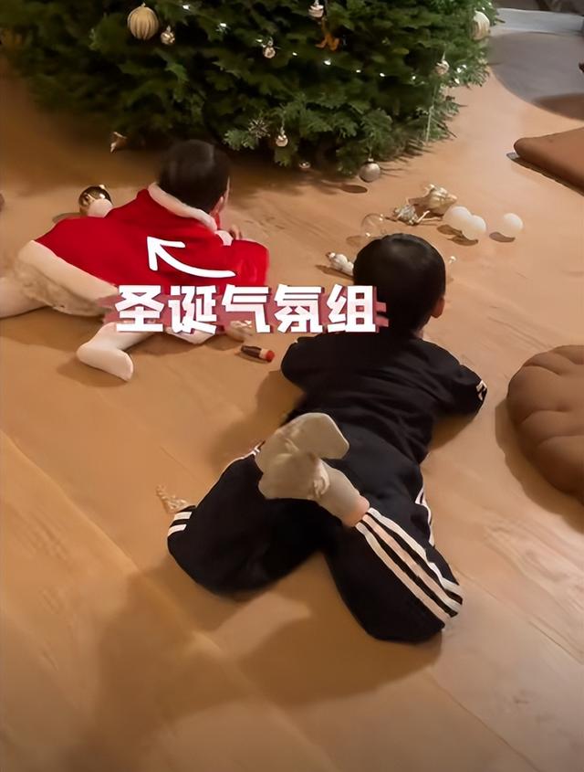 奚梦瑶|奚梦瑶与儿女装扮圣诞树,哥哥帮忙妹妹围观,何猷君记录好有爱