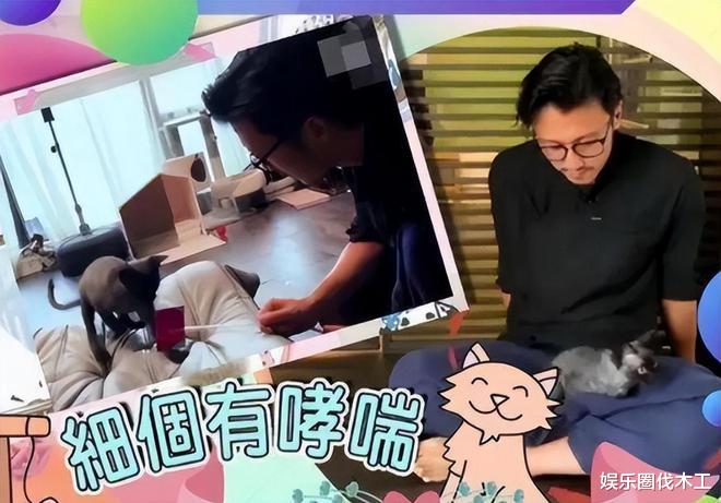 谢霆锋|回顾:真分了?曝谢霆锋带心爱猫咪离京,王菲独自就餐心情低落像哭过