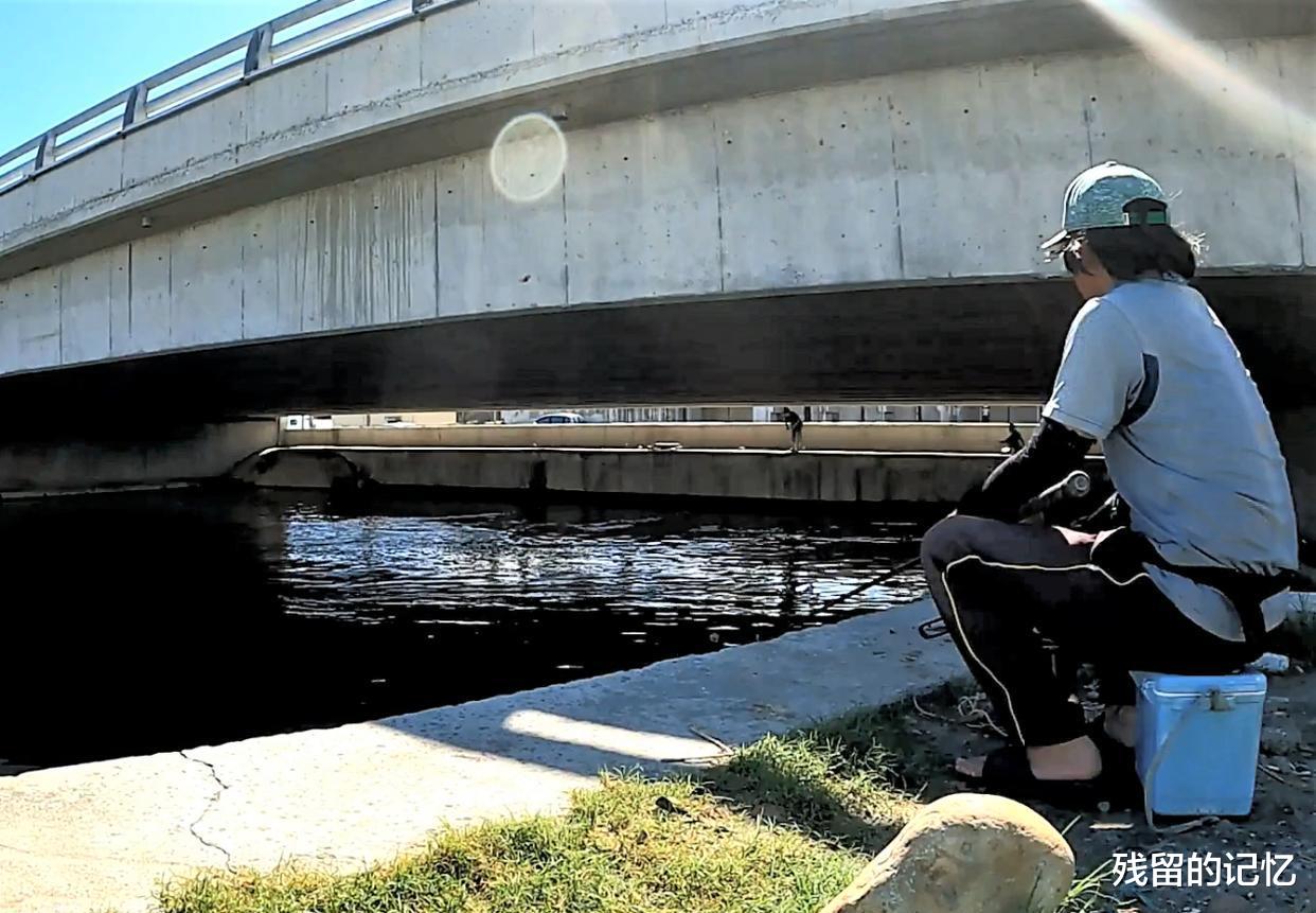 |钓鱼钓草有什么技巧？钓不到鱼，不一定是钓技差，原来是这些原因