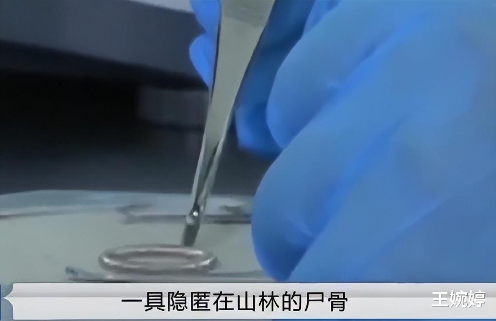 2016年,湖北老汉外出祭祖,意外发现路边一具烧焦的女尸