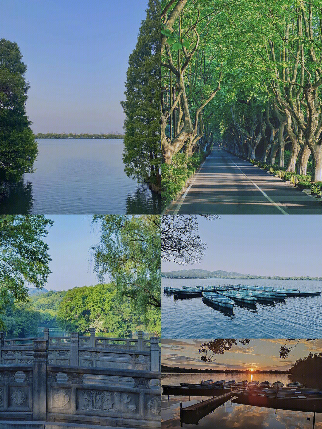 杨公堤|私藏杭州西湖边9个生态旅游景点