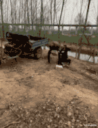 林志玲|这真的是林志玲吗？我怎么看着越来越像日本贵妇了？