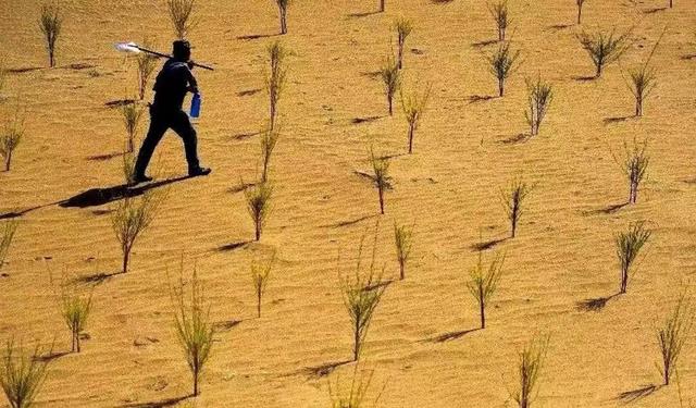 蚂蚁森林|马云承诺每年在沙漠里种树,如今6年过去了,沙漠已经变成这样