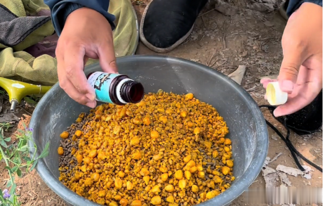 饵料|高温野钓做窝攻略:用这套“方法”,鱼儿不停上,专攻大个头