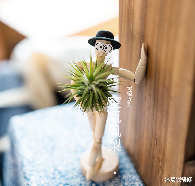 别小瞧这些家居用品,便宜不说,还能美化室内效果,实用又有趣