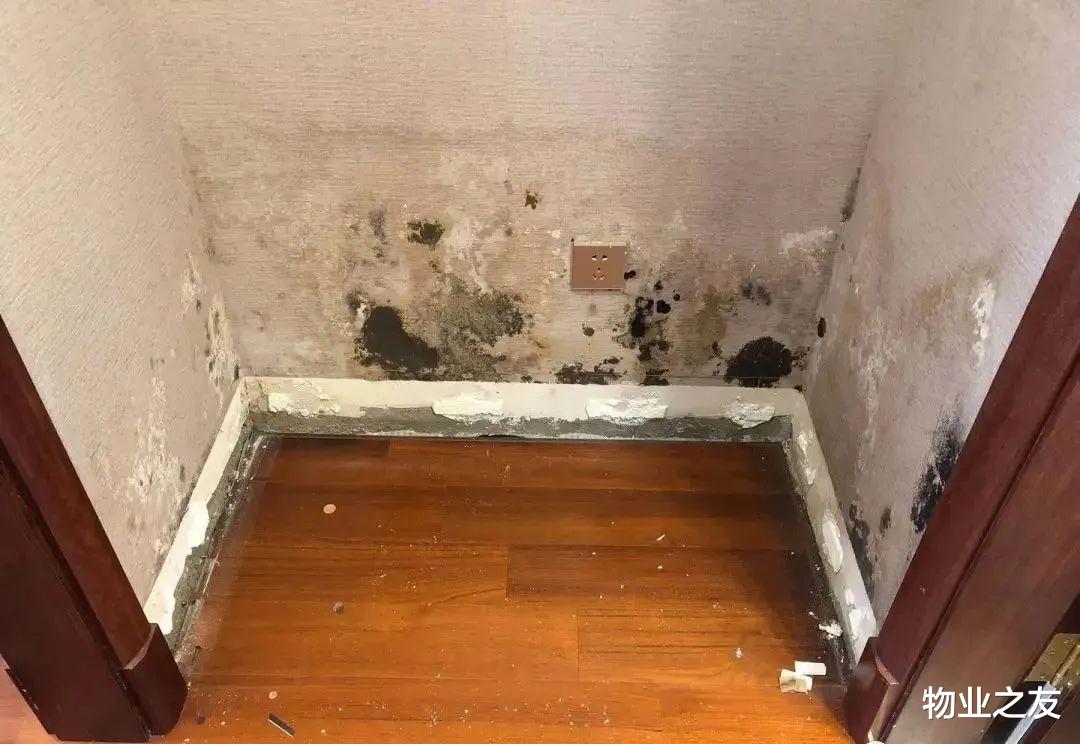 业主家被淹，楼上邻居各赔偿9976元，物业无责不赔偿