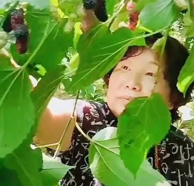 老杜又慌了?杜新枝深夜发动态,公开回应,再遭网友犀利嘲讽