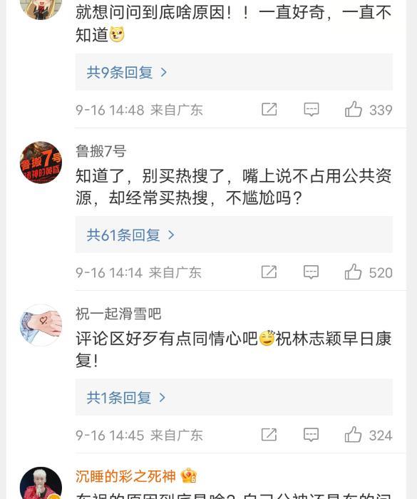 小小志|十三岁kimi和林志颖体重一样!森碟走职业路,天天石头王诗龄长大