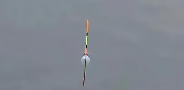 广东省|广东一男子野钓收获四脚“怪鱼”,直接将其拿回家,朋友:心真大