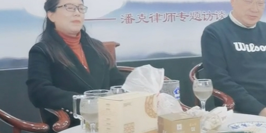 许敏|谁是窦娥不重要,许敏和杜女士谁在补充证据更关键