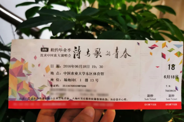 好友曝沈庆车祸细节:试骑电瓶车车祸致颅底骨折,颈动脉破裂而离世