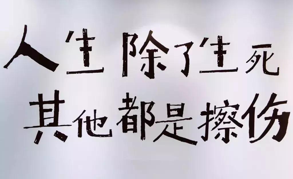 小飞侠熙熙 人生除了生死，其他都是擦伤！
