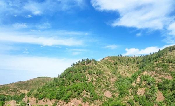 河南|总人口58万,河南这个县,去的人觉得“不错”