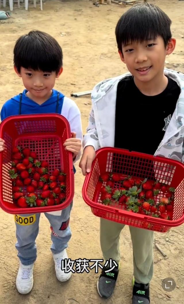 洪金宝|71岁洪金宝随家人去摘草莓全程坐轮椅,头发全白身形消瘦不少