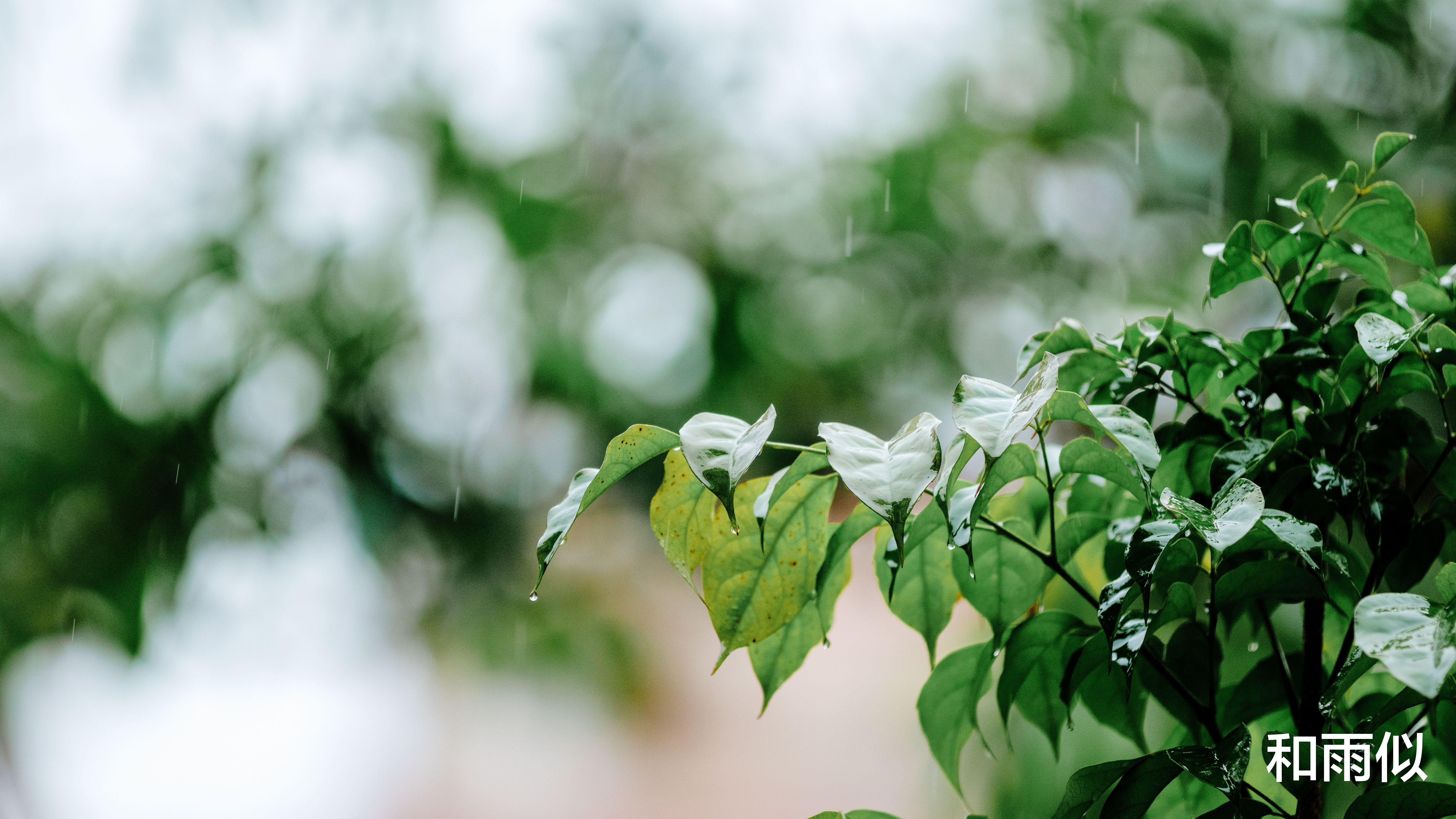 王祖蓝|读《欢乐颂》原著:顿悟最适合娶回家的富家女关关,反而容易剩下