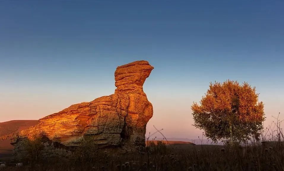 莒县|秋染阿斯哈图石林