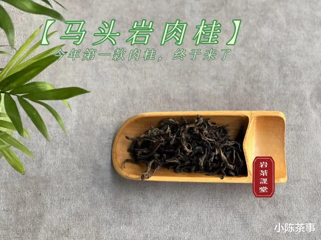 |陈年岩茶用紫砂壶泡，汤感更稠滑？3个细节, 读出了紫砂壶冲泡之密