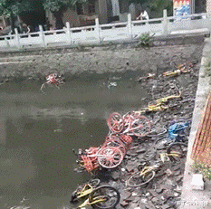 海景房|“老家旧房子打扫出来的瓶子，能不能换一套房？”要海景房！