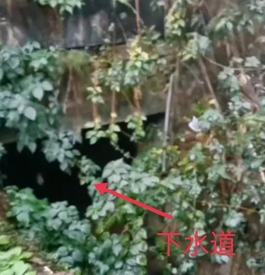 江西男孩胡鑫宇失踪35天,解开八大疑点或许是关键突破口