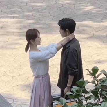 杨紫|肖战借木槿花对杨紫宣示主权?看到花语后我有磕到了,生生不息