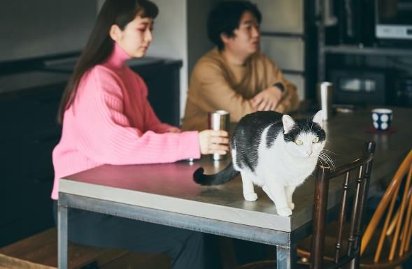 日本情侣的60㎡新居,不刷墙不吊顶,全屋毛坯风,超好看