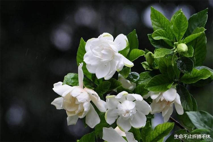 房价|你住父母家付房租了没?