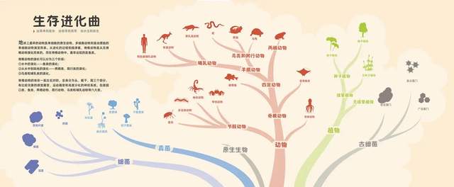 碳基生命进化的终点是什么?人类离终点还有多远?