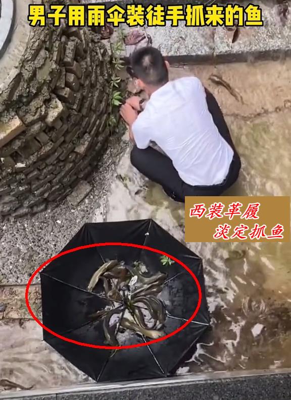 中山男子西装革履却在雨中淡定捕鱼走红,网友:这种快乐不常有
